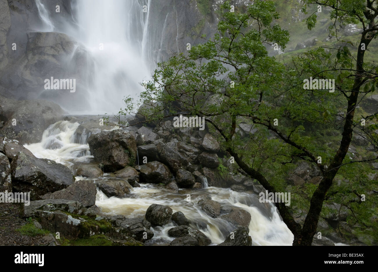 Wasserfall genannt Aber verliebt sich in Coedydd National Nature Reserve, Conwy, Wales, UK Stockfoto