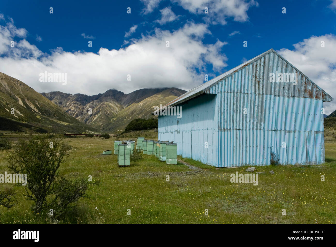 Blaue Wellblech Hütte mit Bienenstöcken auf einer Wiese, Rainbow Track, Südinsel, Neuseeland Stockfoto