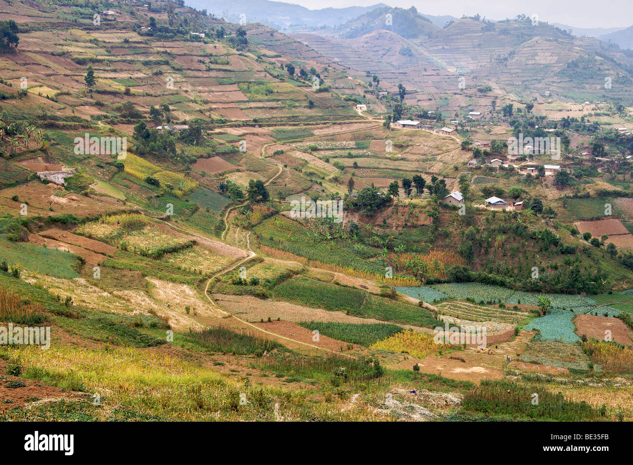 Landschaft entlang der Straße zwischen Kisoro und Muko in Süd-Uganda. Stockfoto