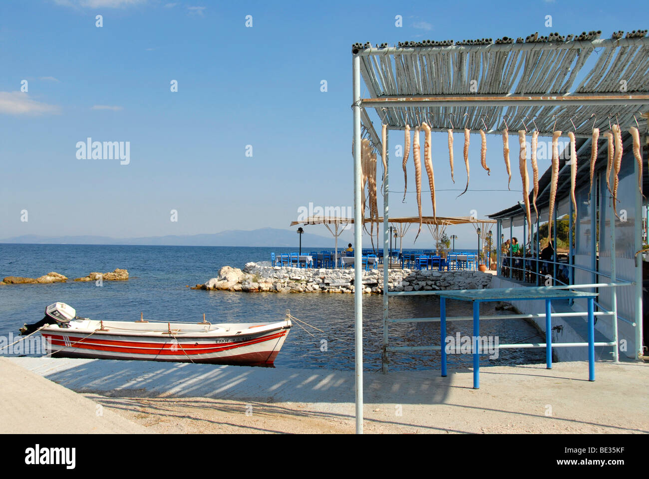 Tintenfisch oder Oktopus (Krake) Tentakel hängen trocken, motor Boot an der  Küste, Agios Ioannis in der Nähe von Mytilene, Lesbos Insel, Aegea  Stockfotografie - Alamy