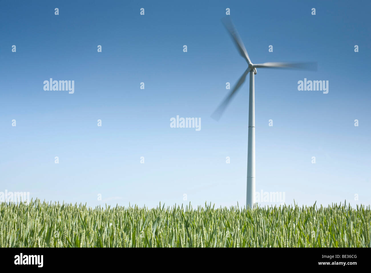 Windkraftanlage vor blauem Himmel, Feld im Vordergrund Stockfoto