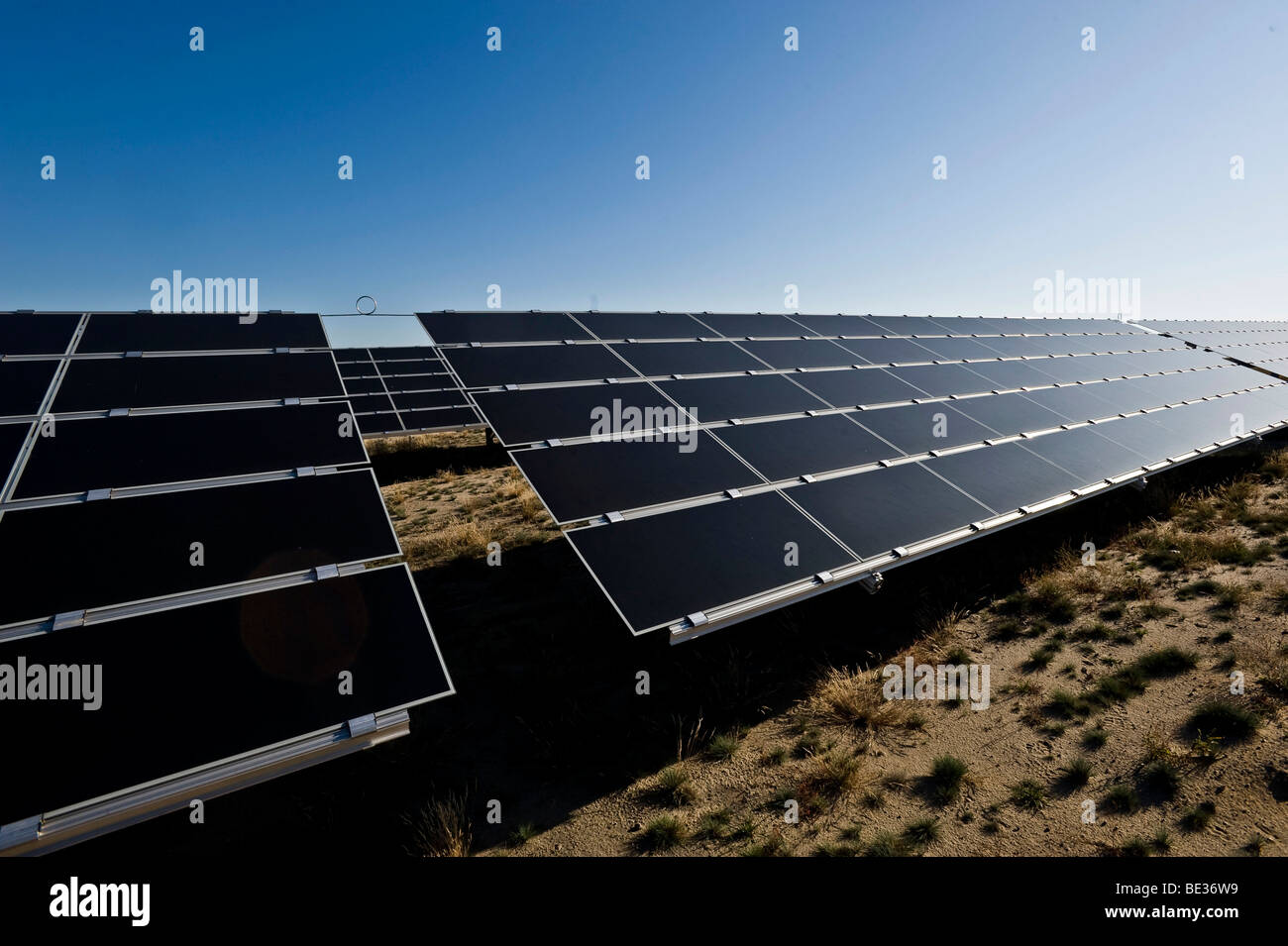 Deutschlands größte Solarpark in Lieberose, Spreewald, Brandenburg, Deutschland, Europa Stockfoto