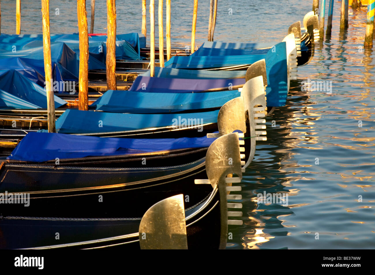 Gondeln aufgereiht - frühmorgens am Canal Grande, Venedig Veneto Italien Stockfoto