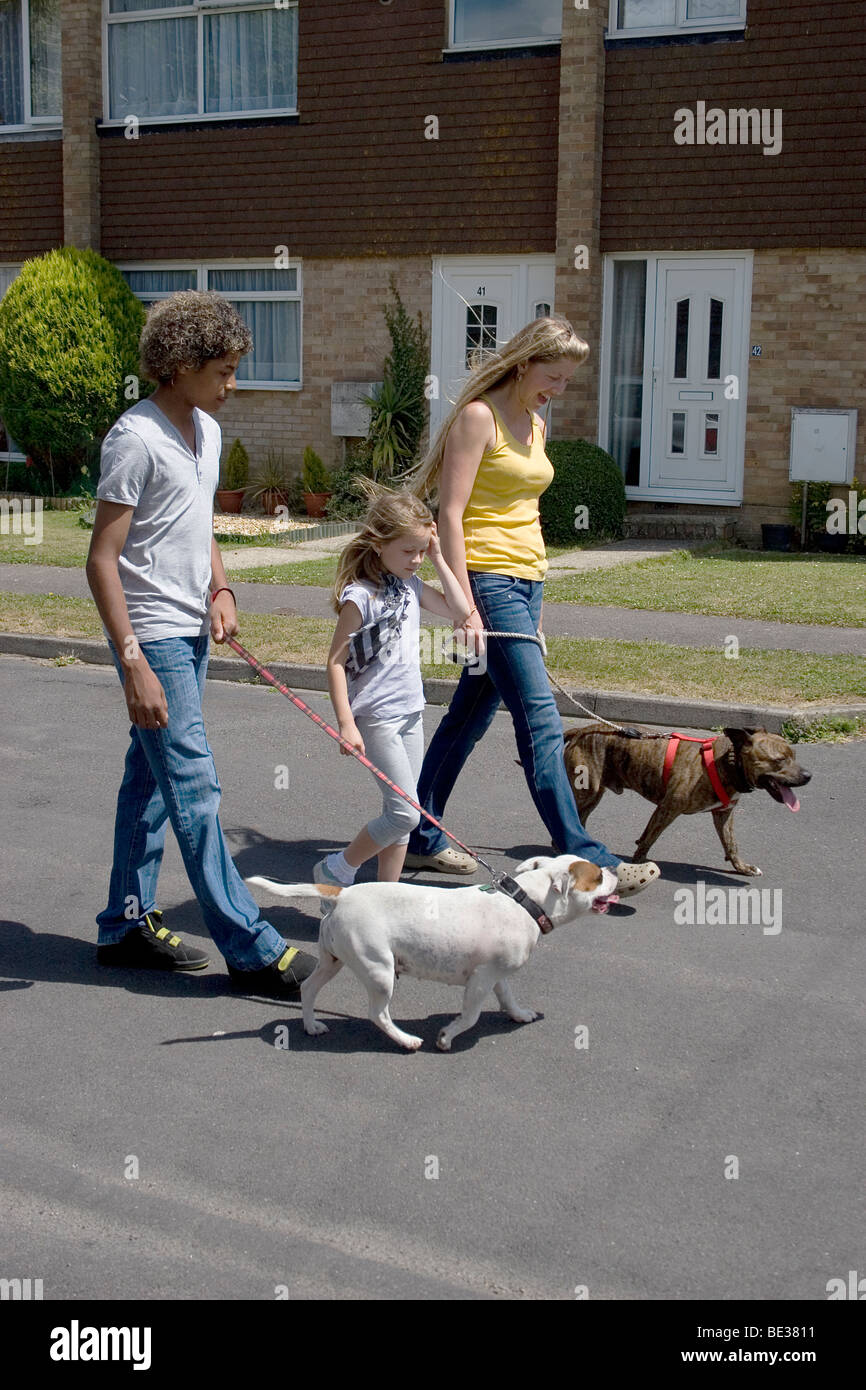 Mutter und Kinder zu Fuß in die Straße mit ihren zwei Staffordshire Bull Terrier Stockfoto