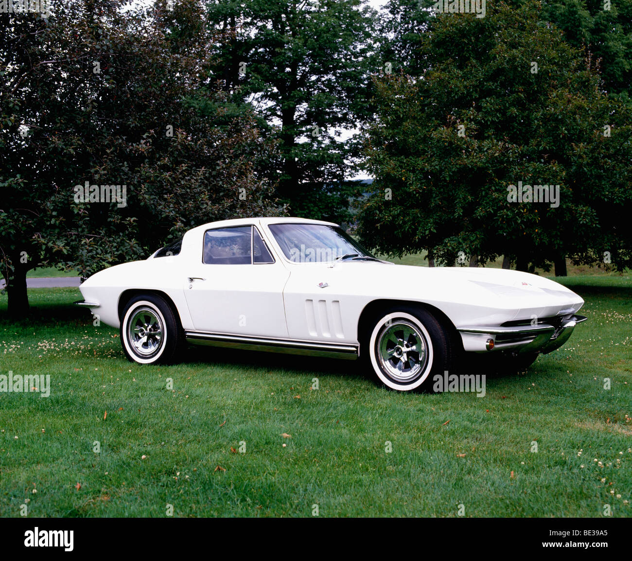 1966 Chevrolet Corvette Sting Ray Stockfoto
