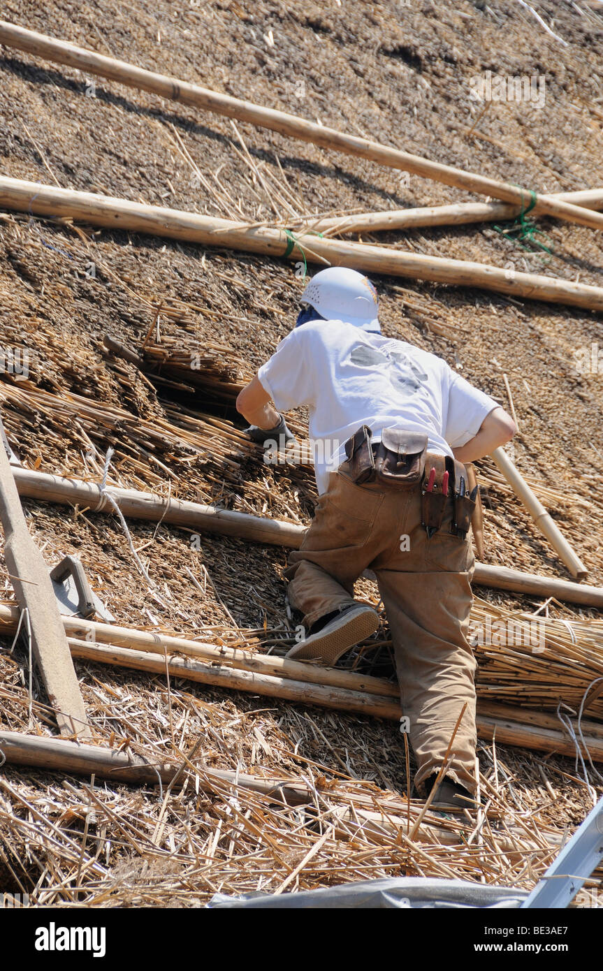 Thatched Dach, Gassho, Gassho-Zukuri, eine traditionellen japanischen Bauernhaus ist neu gedeckt, Ohara in Kyoto, Japan, Asien Stockfoto