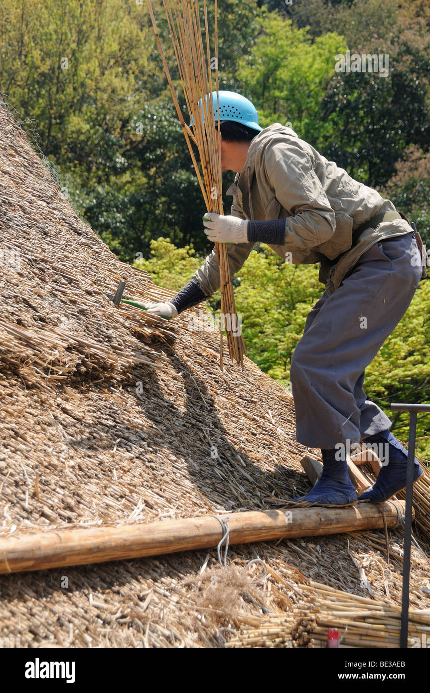 Thatched Dach, Gassho, Gassho-Zukuri, eine traditionellen japanischen Bauernhaus ist neu gedeckt, Ohara in Kyoto, Japan, Asien Stockfoto