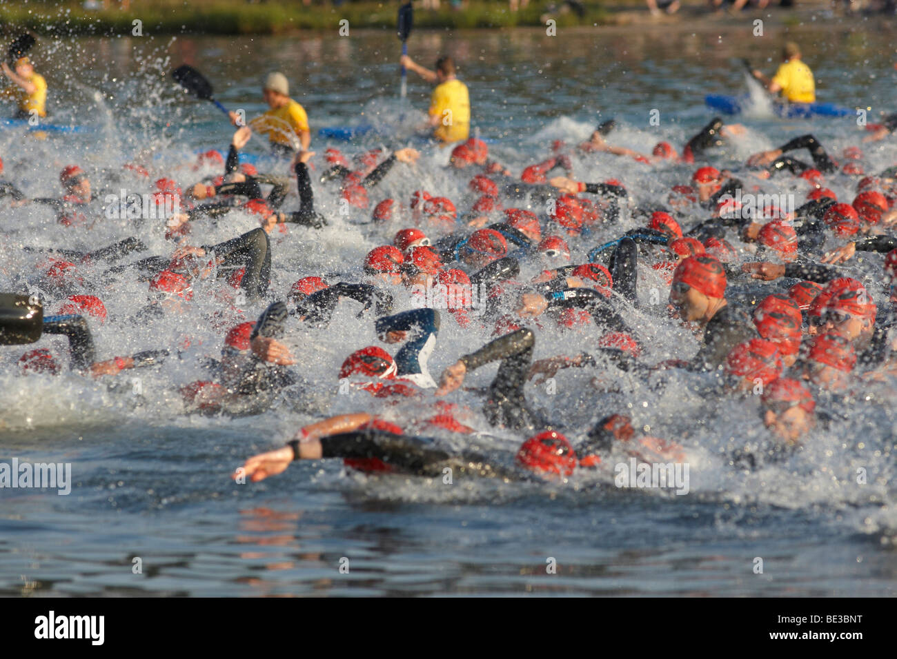 Triathlon, Schwimmen Wettbewerb, Ironman Germany, Frankfurt, Hessen, Deutschland, Europa Stockfoto