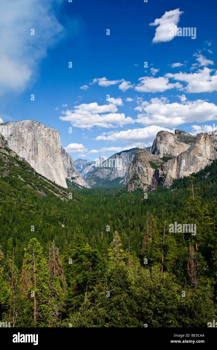 YOSEMITE NATIONAL PARK, Kalifornien – die majestätischen Granitklippen von El Capitan und der Half Dome Turm über dem üppigen Yosemite Valley. Der beschauliche Merced River spiegelt die berühmte Landschaft wider und zeigt die atemberaubende natürliche Schönheit, die Yosemite zu einem der beliebtesten Nationalparks der USA gemacht hat. Stockfoto