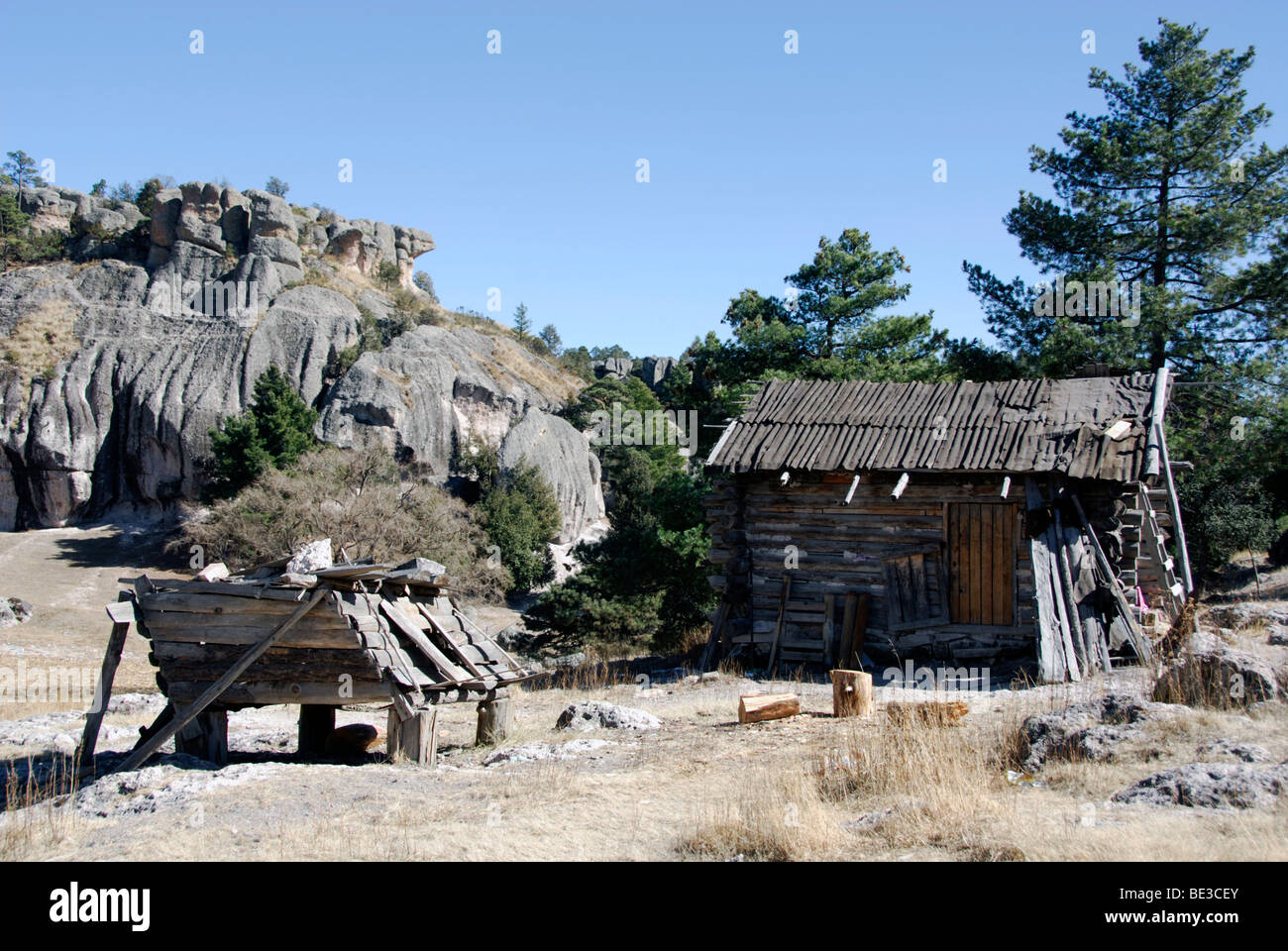Tarahumara indischen Haus in der Nähe von Creel, Copper Canyon, Chihuahua, Mexiko Stockfoto
