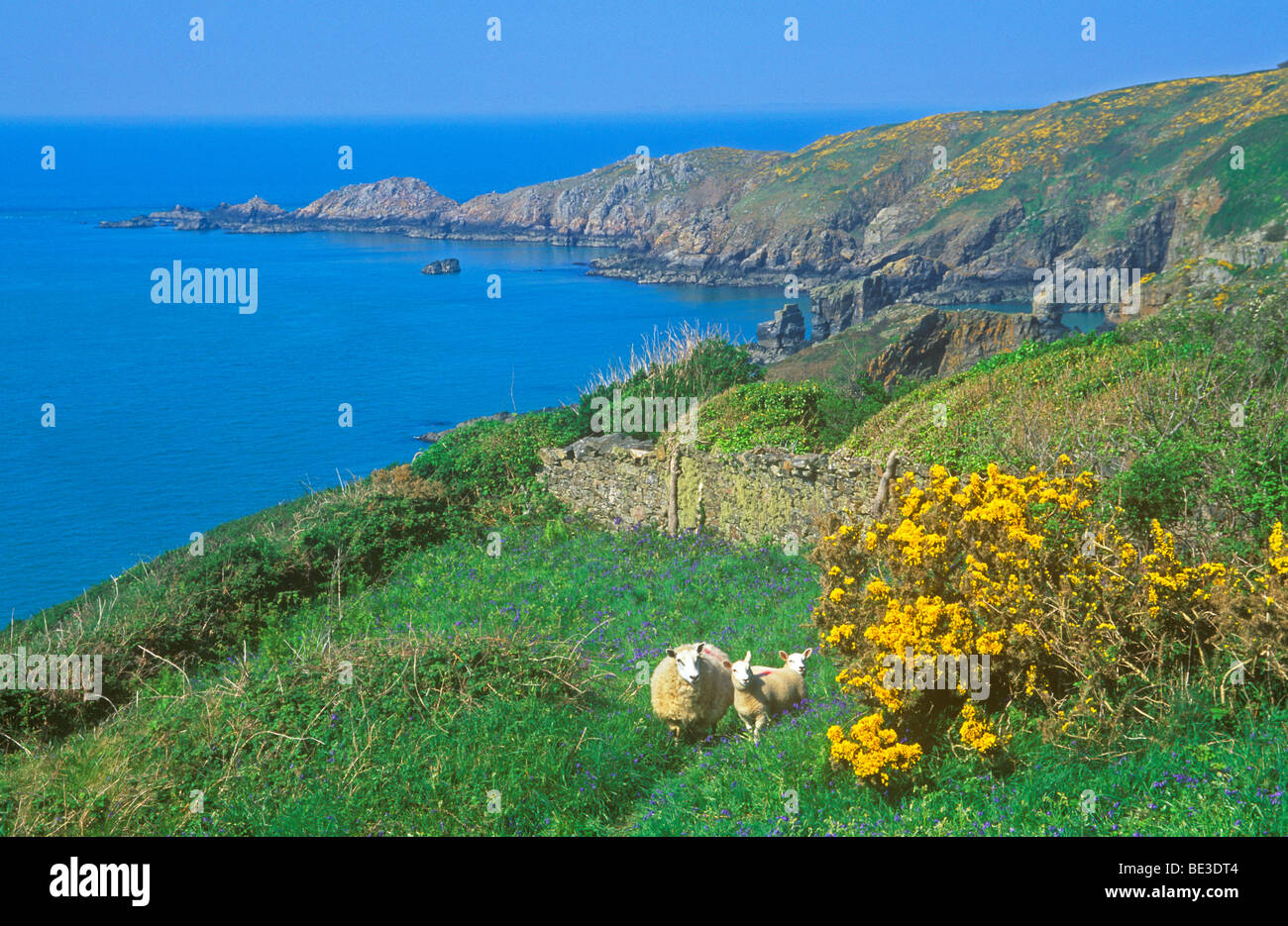 Klippe Landschaft im Nordwesten der Insel Sark, Kanalinseln Stockfoto