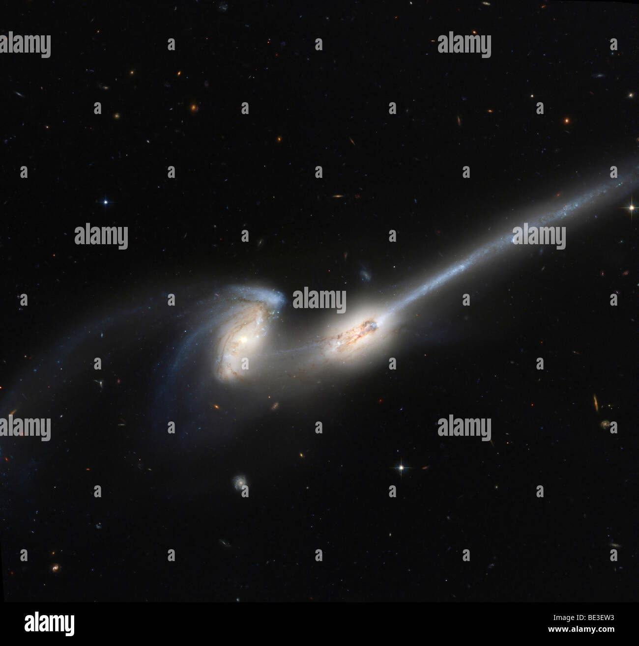 NGC 4676 oder die Mäuse Galaxien sind zwei Spiralgalaxien im Sternbild Coma Berenices. Stockfoto