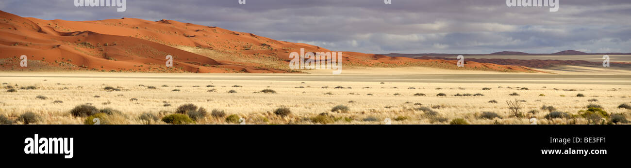 Dünen in der Nähe von Sesriem in der Namib-Naukluft Nationalpark, Namibia, Afrika Stockfoto