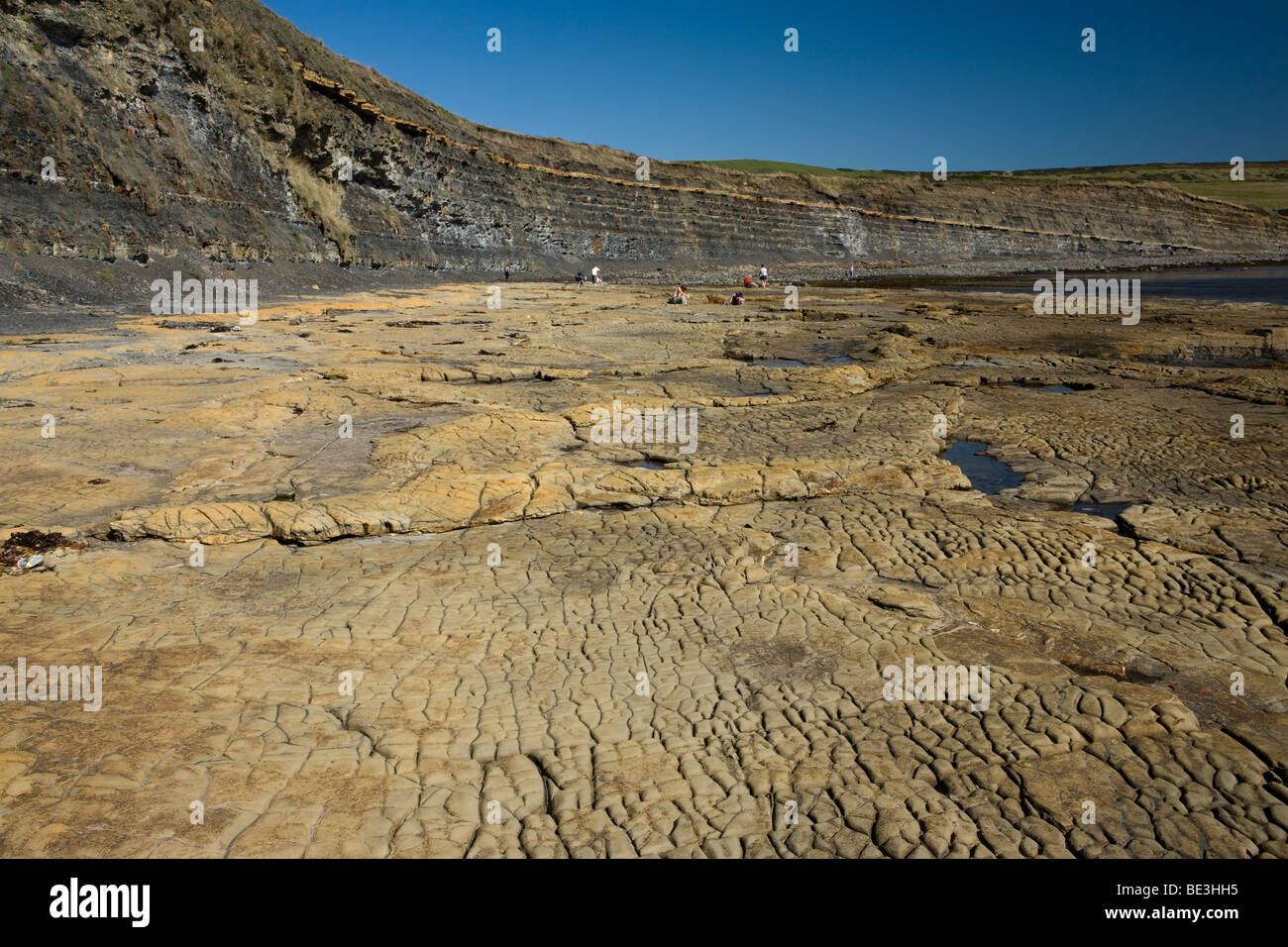 Dolomit Felsformationen bei Kimmeridge Bay auf der Isle of Purbeck, an der Küste von Dorset England Stockfoto