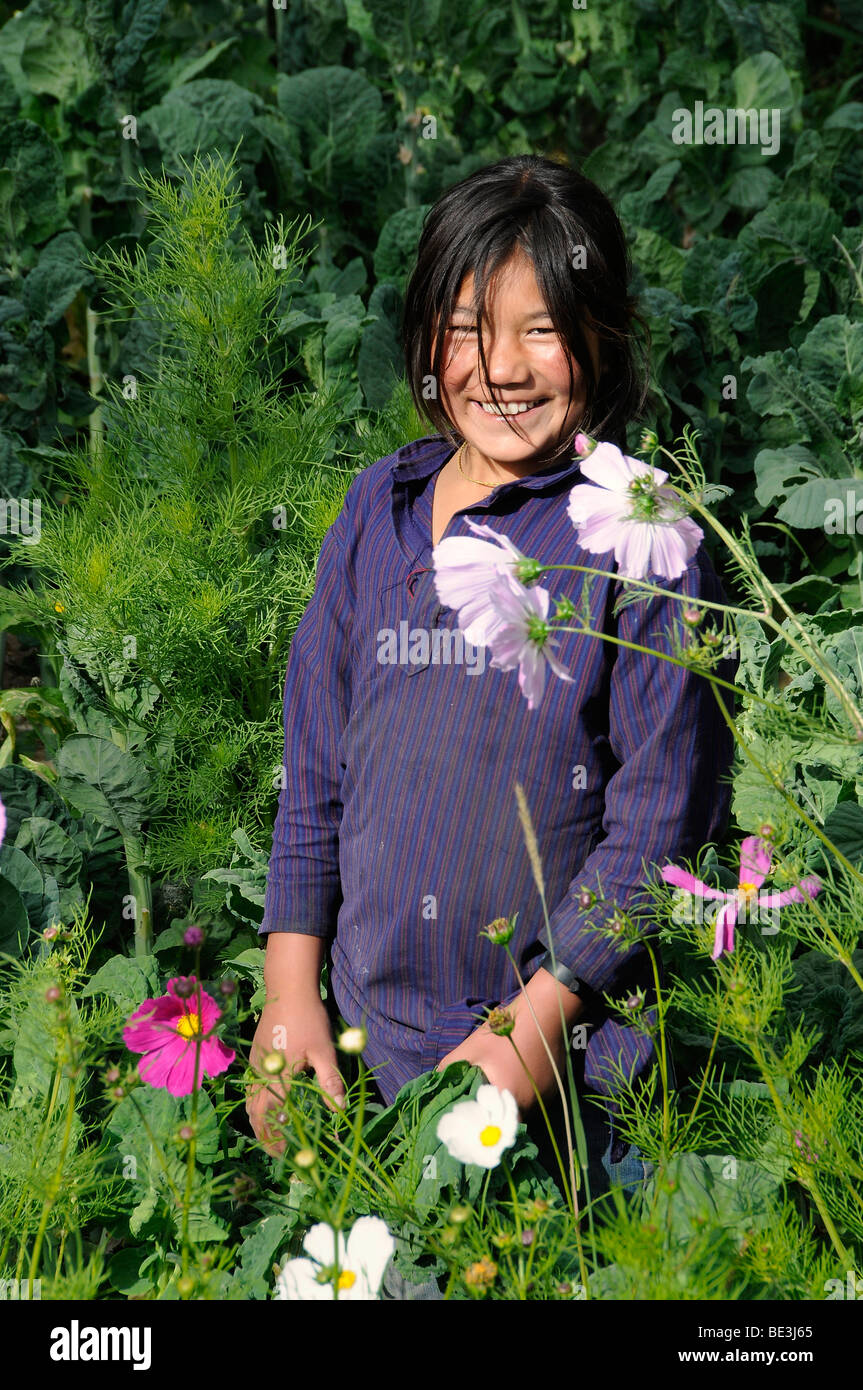 Ladakhi Mädchen in einem typischen Gemüse- und Blumengarten in Leh, Ladakh, Nord-Indien, Himalaya, Asien Stockfoto