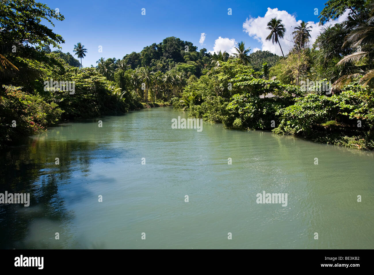 Brackwasser-Fluss, Sulawesi, Indonesien, Südostasien Stockfoto