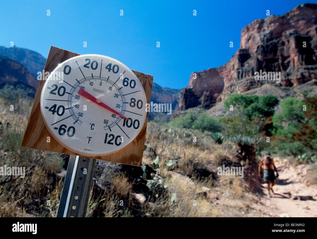 Thermometer in den Grand Canyon, Arizona, USA, Nordamerika Stockfoto