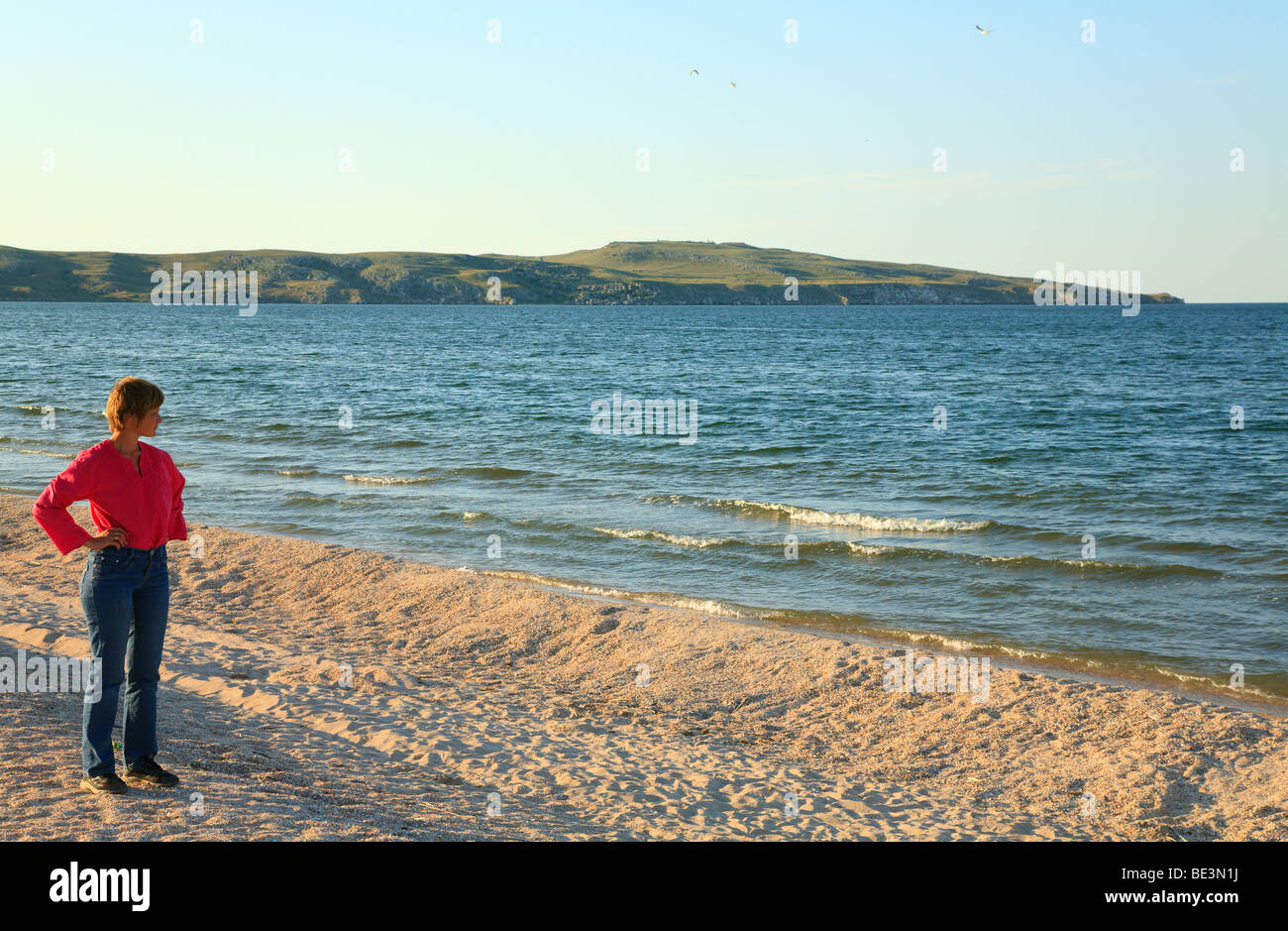Sommer Meer sandigen Küste (Asowsches Meer, Krim, Ukraine) Stockfoto
