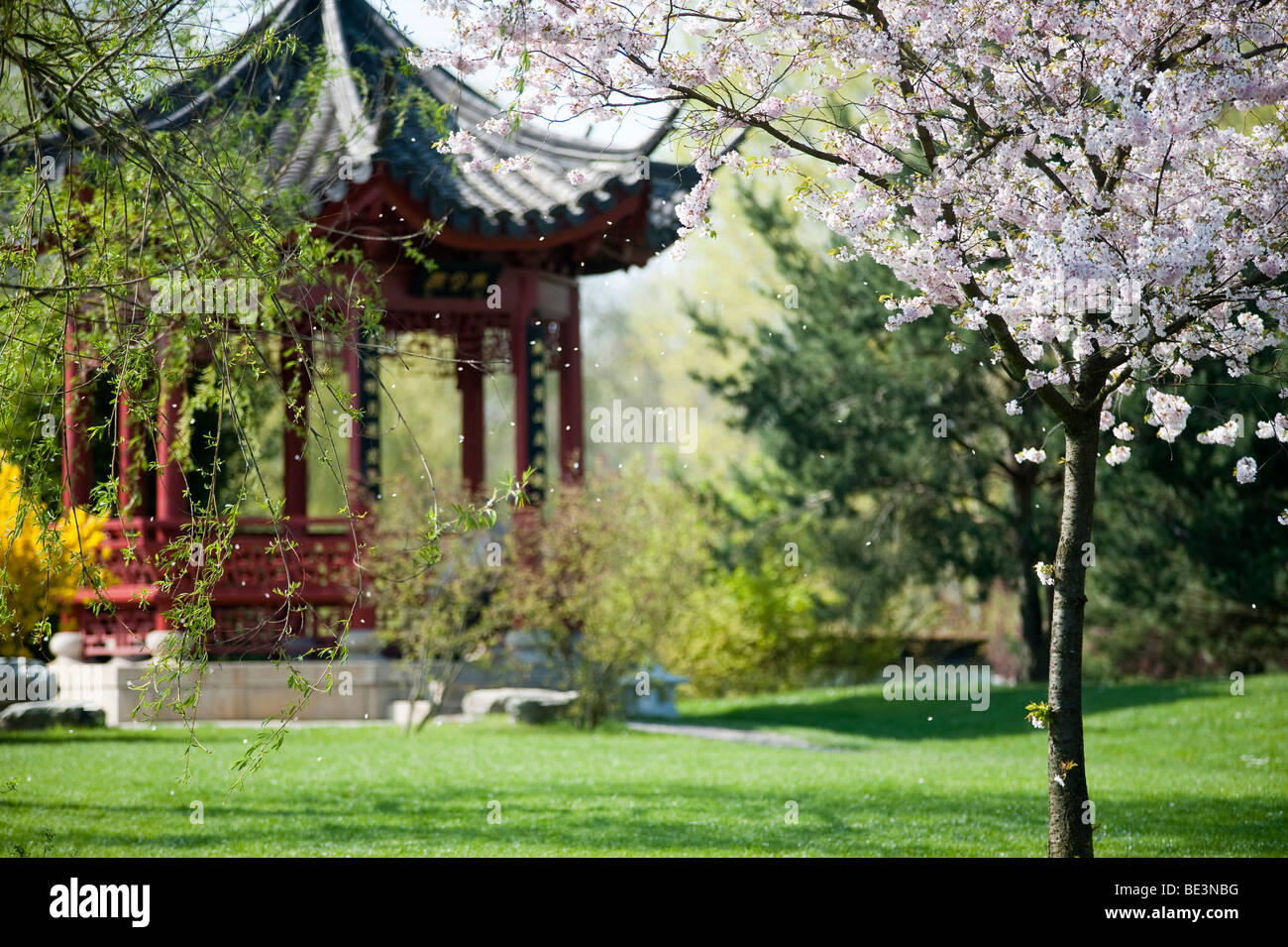Gärten der Welt, in der Freizeit Park Marzahn, chinesischer