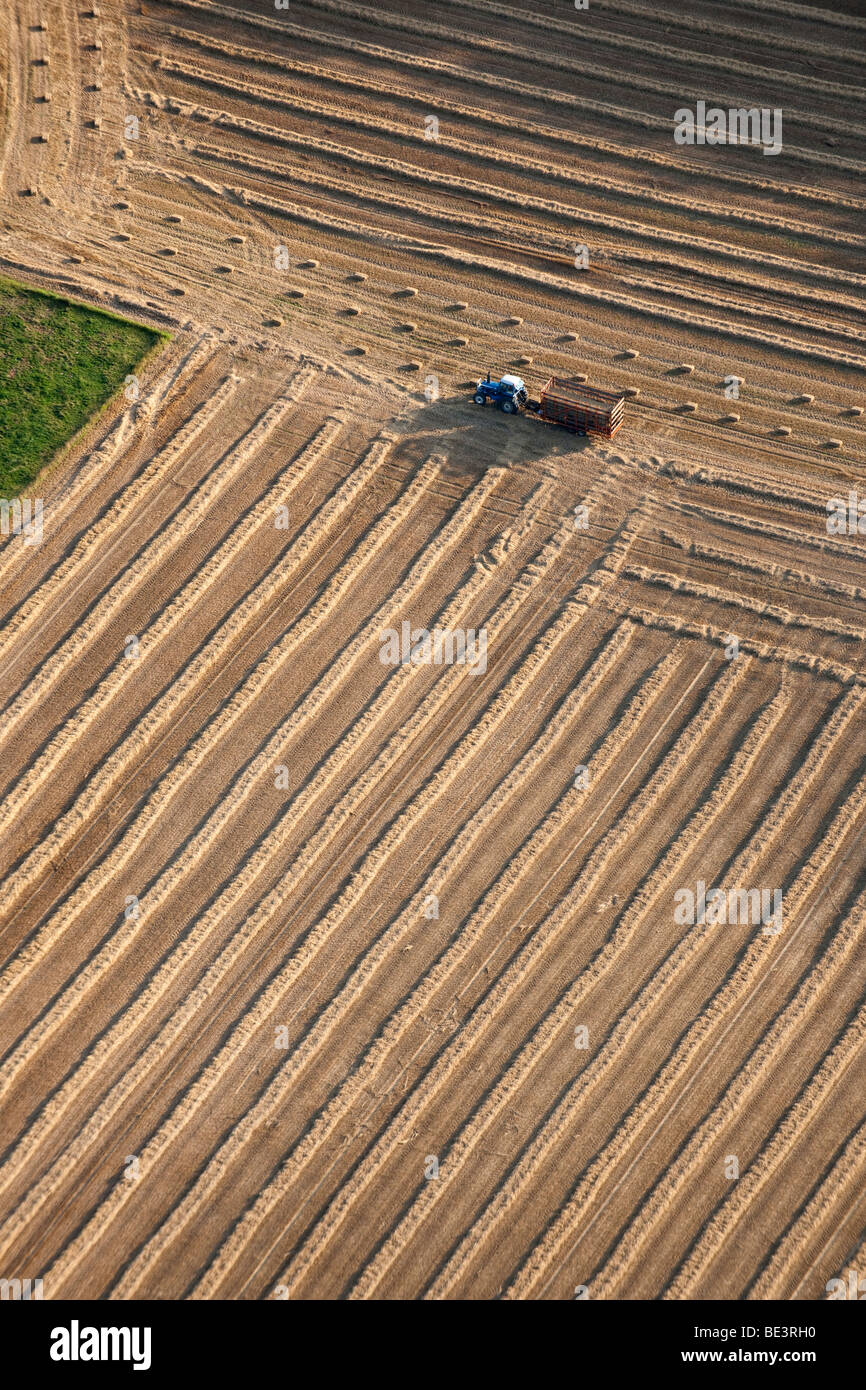 Luftaufnahme: Traktor arbeiten in Bereichen Stockfoto