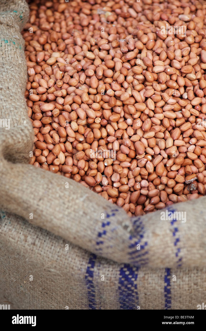 Sack Erdnüsse ohne Schale auf einem indischen Markt abgewürgt. Andhra Pradesh, Indien Stockfoto