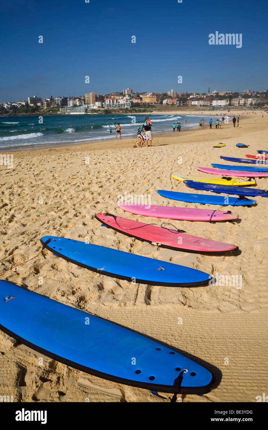 Surfbretter sind für Surfschule am Bondi Beach angelegt. Sydney, New South Wales, Australien Stockfoto
