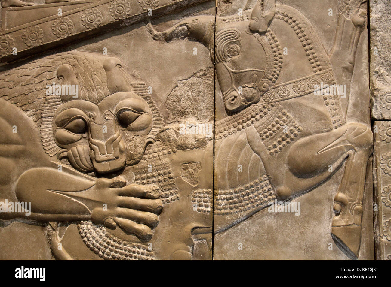 Löwe verschlingt Bull-ein Wandrelief von Persepolis, das British Museum Stockfoto