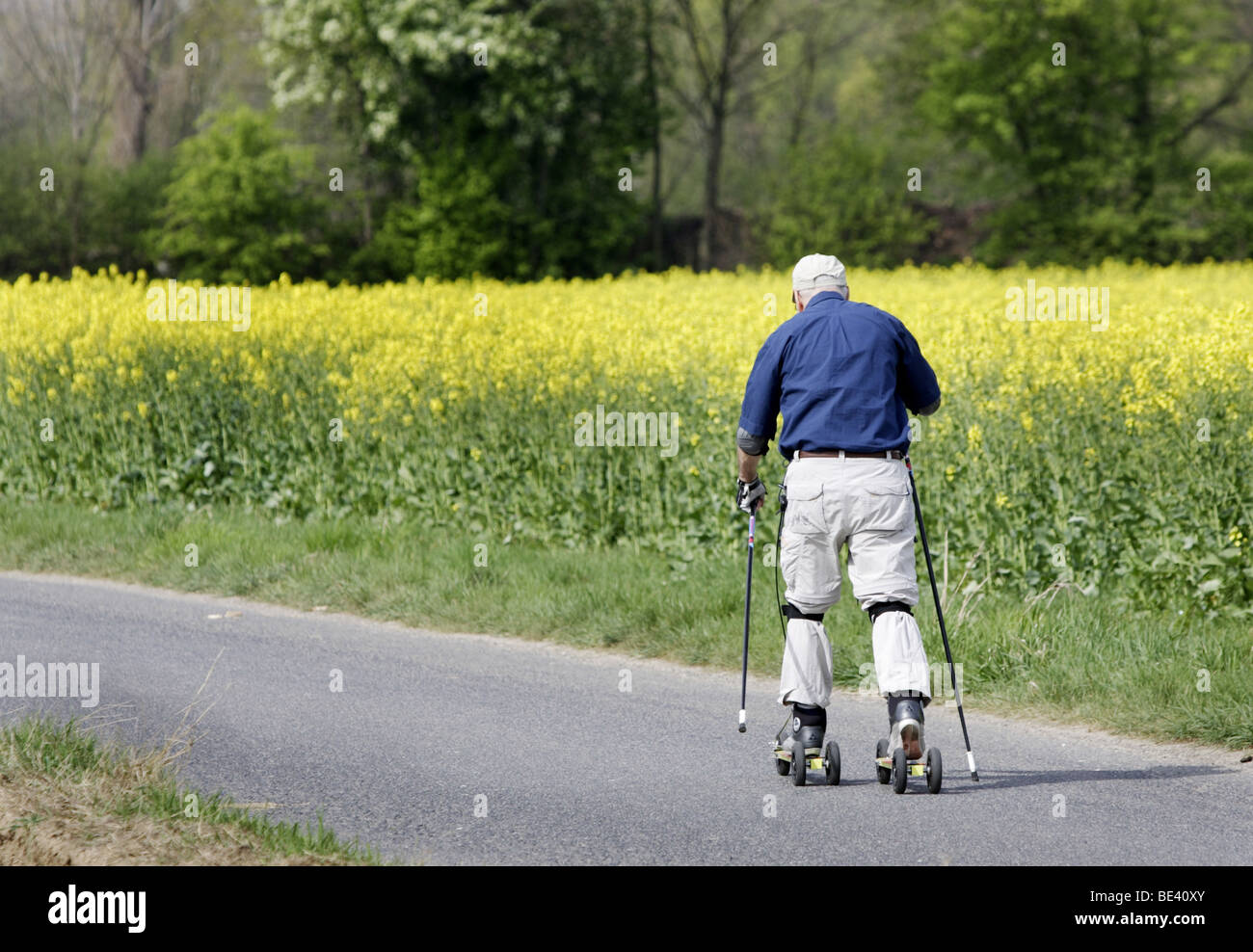 Rentner Laeuft Beim Sport ein Einem Rapsfeld vorbei Stockfoto