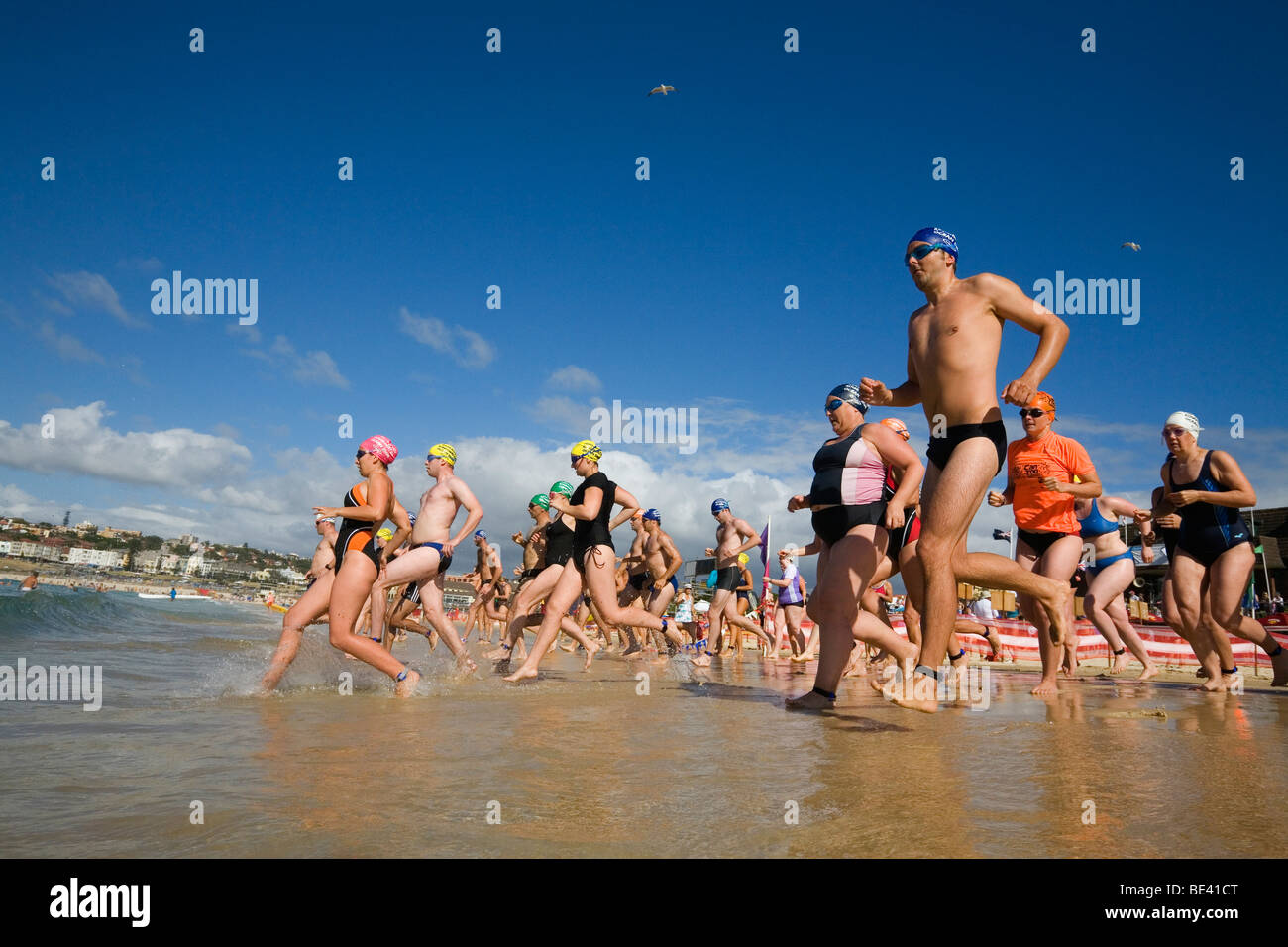 Konkurrenten führen das Wasser während eines Rennens Schwimmen am Bondi Beach. Sydney, New South Wales, Australien Stockfoto