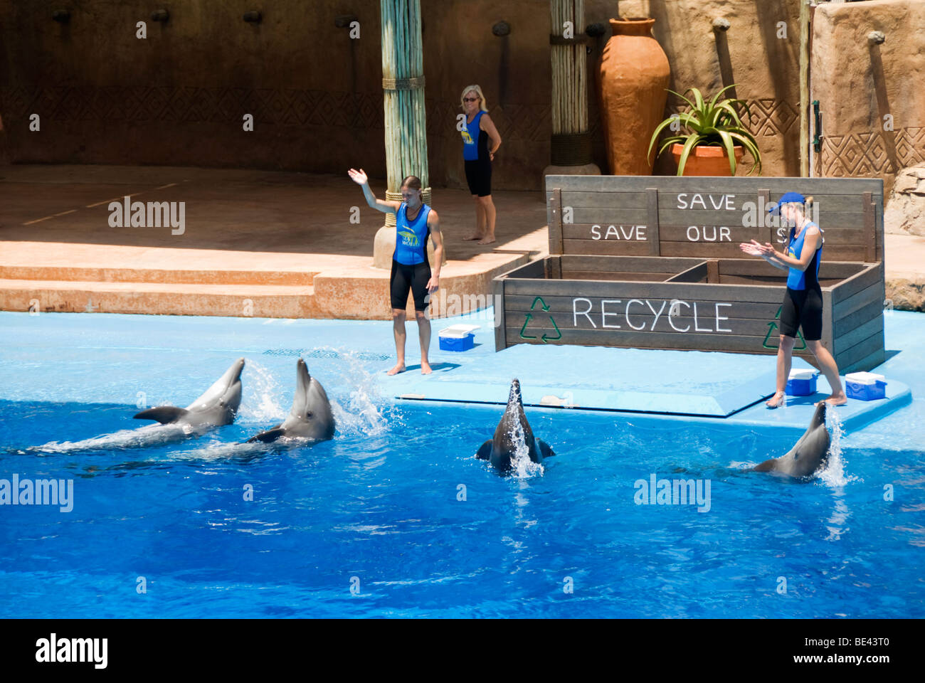 Eine Delphin-Show im uShaka Marine World in Durban in Südafrika. Stockfoto