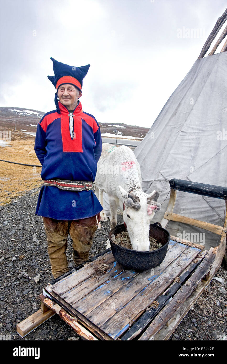 Älterer Sami Mann in traditioneller Kleidung zeichnet sich durch sein Zelt mit einem seiner Rentiere in der Nähe der Stadt Honningsvag, Norwegen. Stockfoto