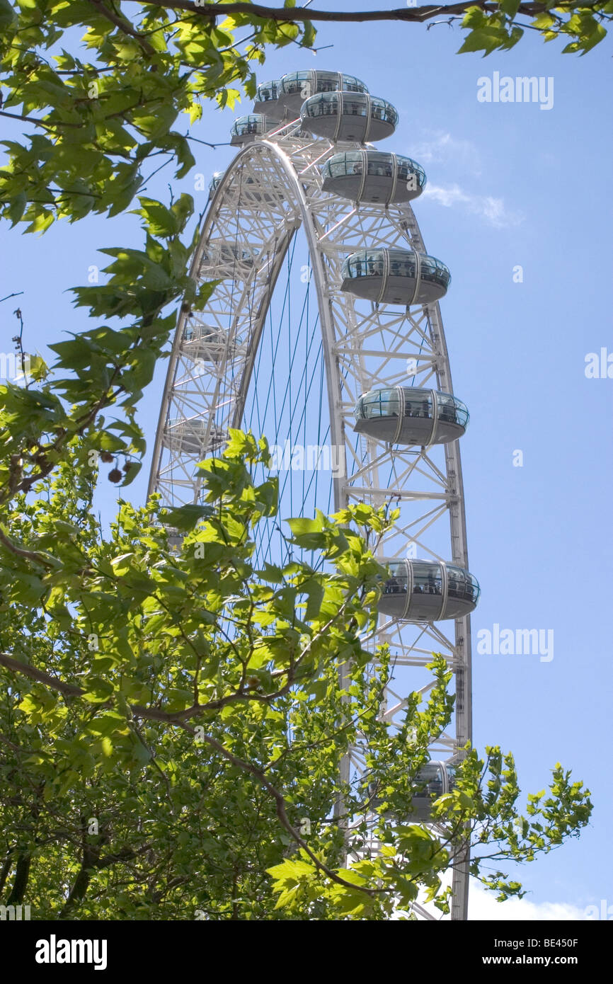 London Eye, London, England, UK, Europa Stockfoto
