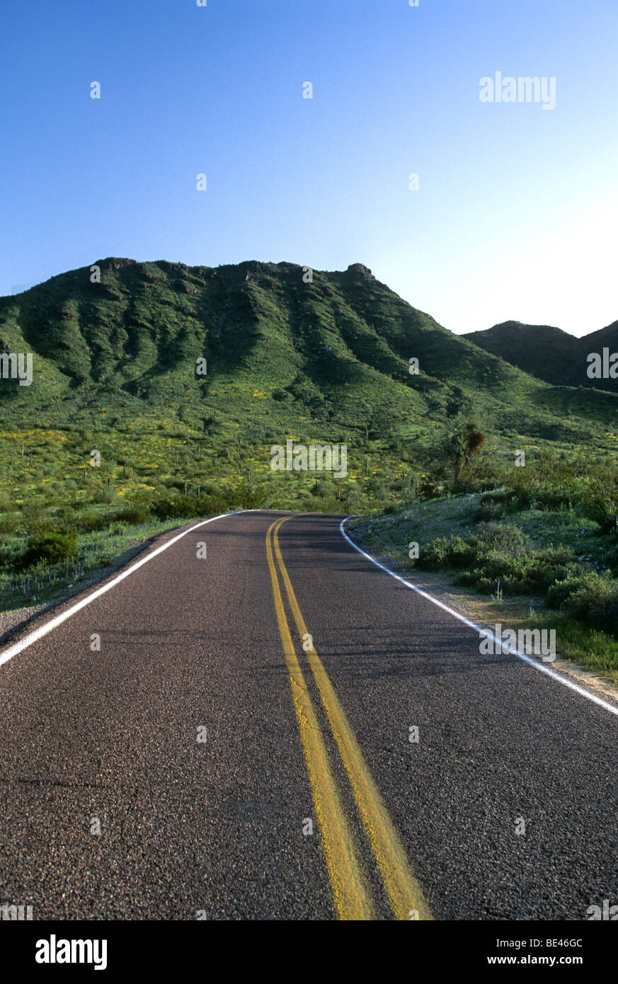 Einsame Landstraße in Wüste in der Nähe von Phoenix, AZ Stockfoto