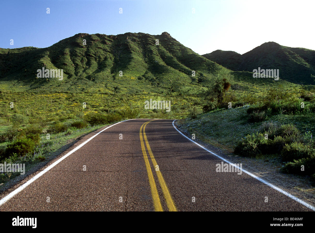 Einsame Landstraße in Wüste Stockfoto