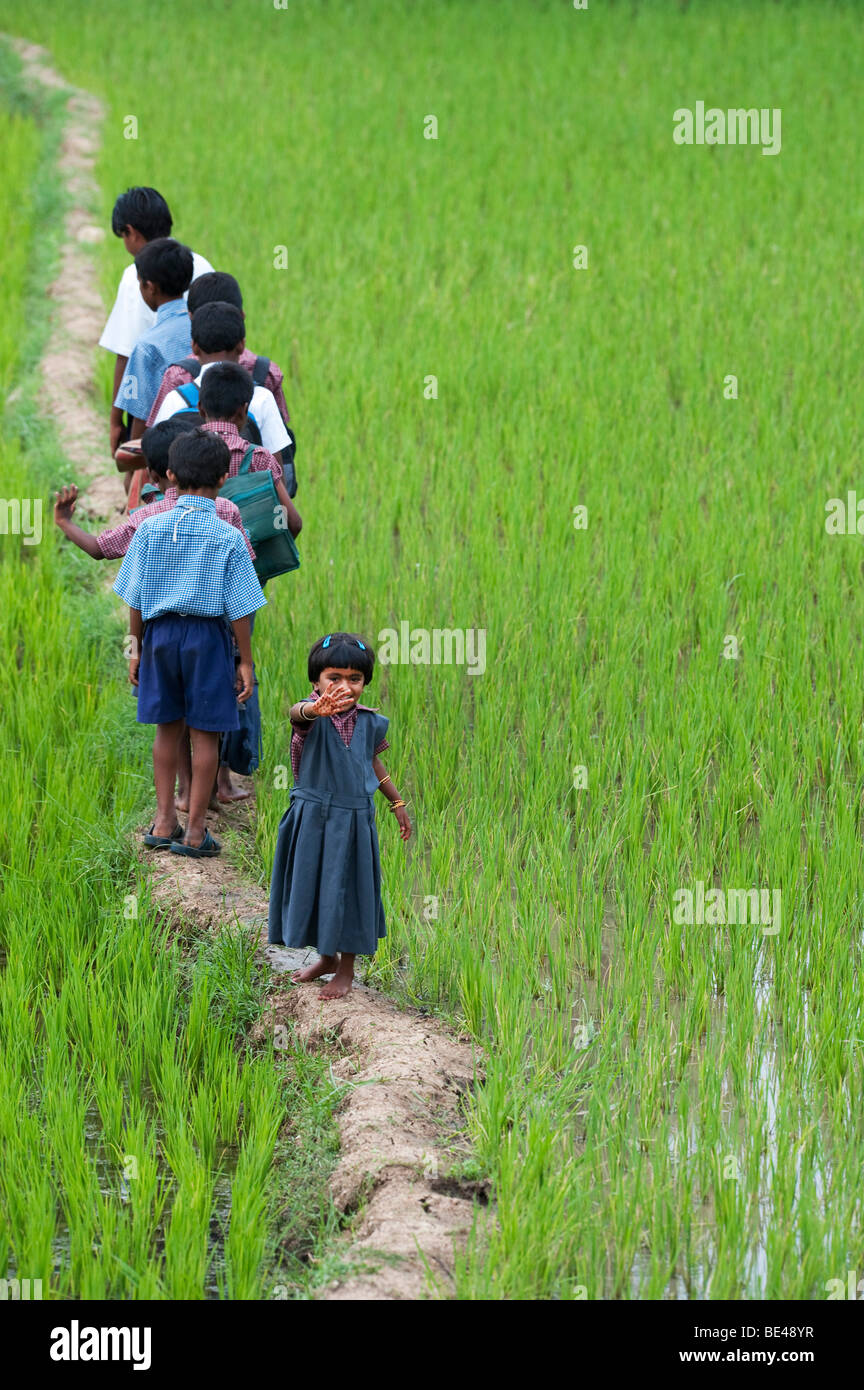 Kleine Inderin winken auf der Rückseite eine Reihe von indischen Schülerinnen und Schüler zu Fuß auf einem Reisfeld. Andhra Pradesh, Indien Stockfoto