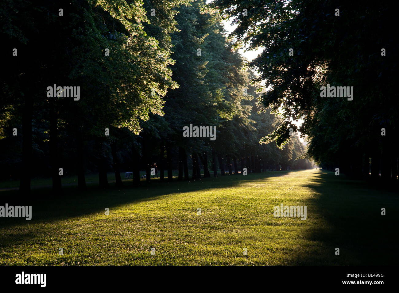 Blick entlang einer beleuchteten Straße in Grosser Garten Park in Dresden, Deutschland, am Abend Stockfoto