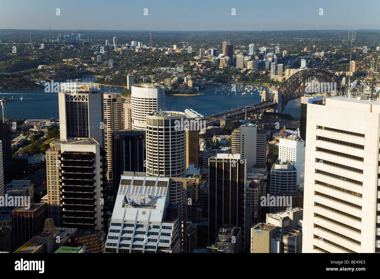 Blick auf die Stadt und den Hafen von der Aussichtsplattform der 250 Meter hohe Sydney Tower. Sydney, New South Wales, Australien Stockfoto