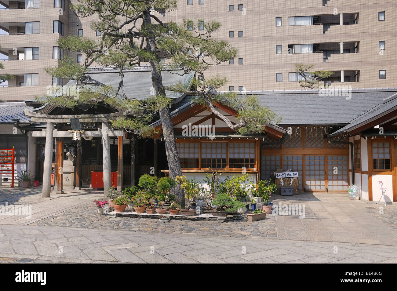 Shinto-Schrein befindet sich in einem Häuserblock südlich von Gion Bezirk, Kyoto, Japan, Asien Stockfoto