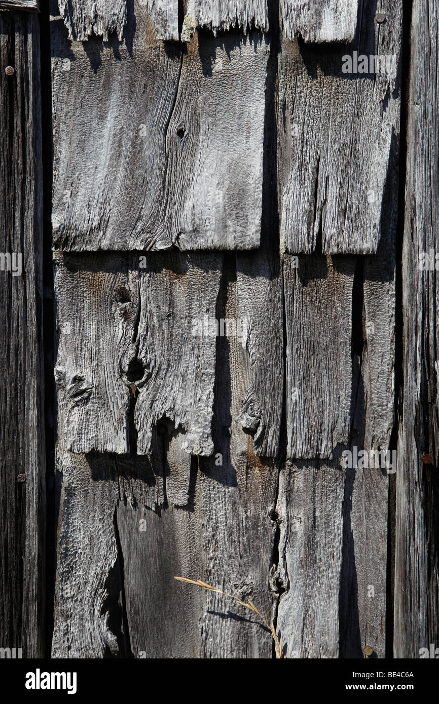 verwitterten Sie Schindeln Angeln Shack Detail, Eulen Kopf, Maine Stockfoto
