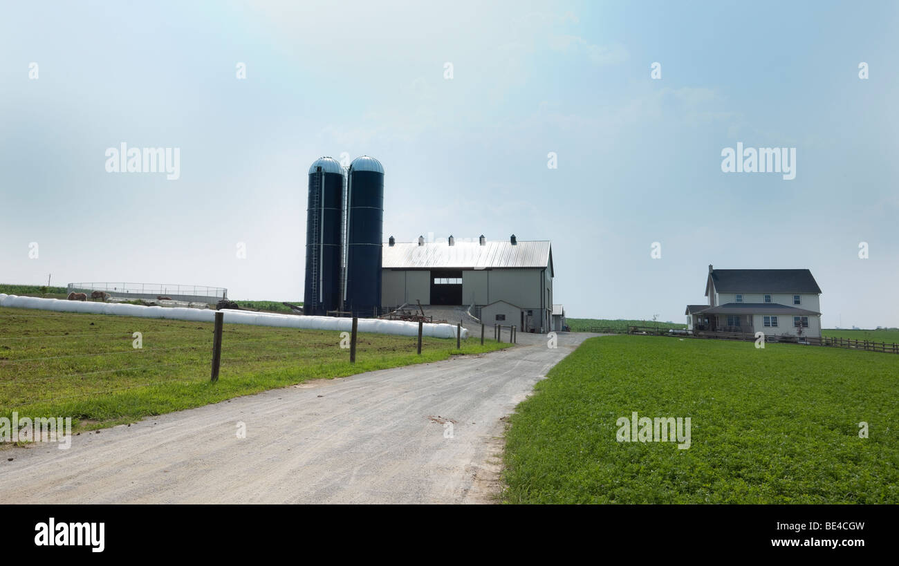 Amische Bauernhof, Pennsylvania Dutch Country, USA. Stockfoto