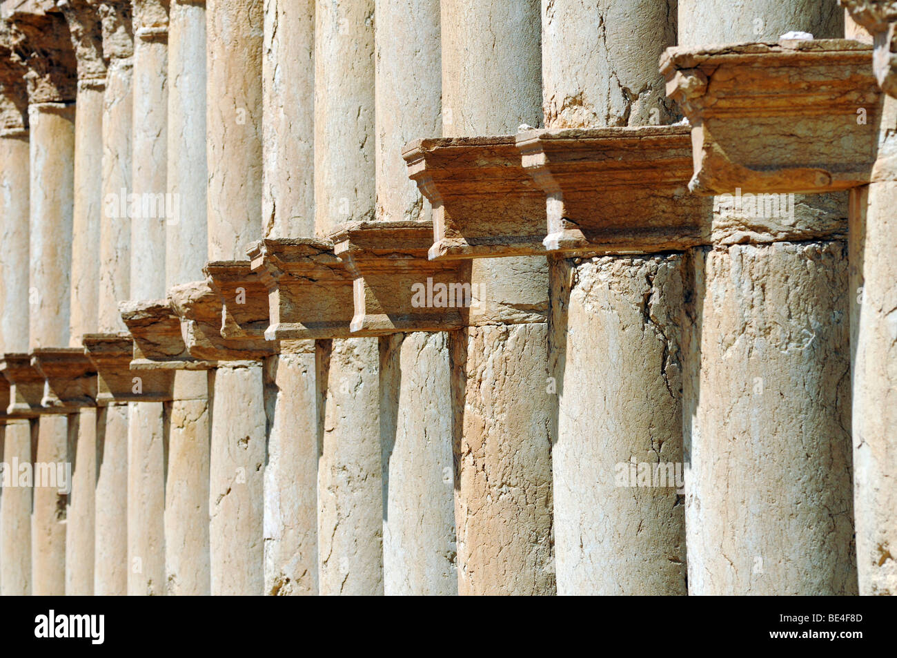 Säulenreihe in den Ruinen von Palmyra archäologische Stätte, Tadmur, Syrien, Asien Stockfoto