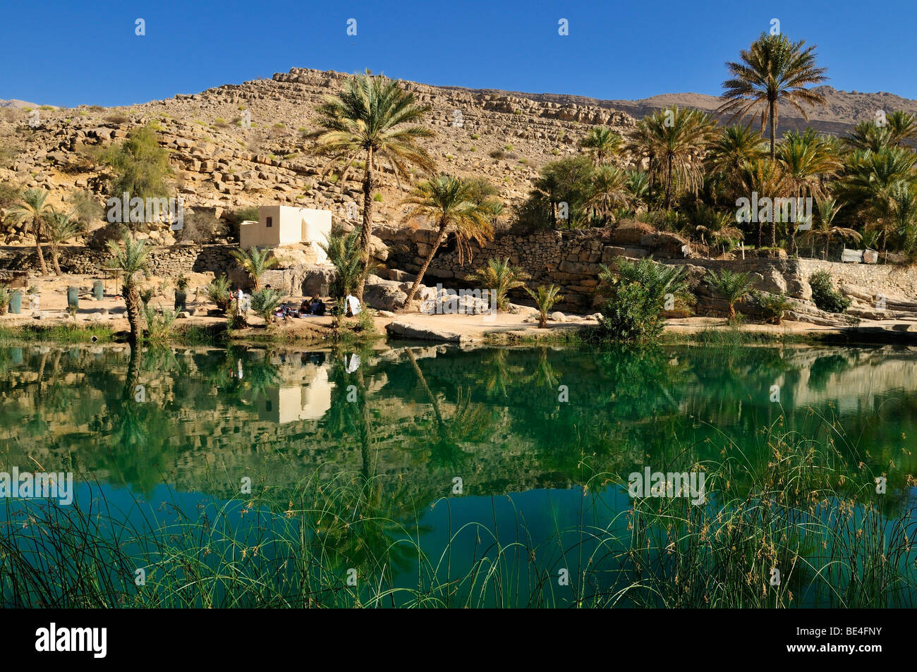 Wasserbecken in einer felsigen Schlucht, Wadi Bani Khalid, Sharqiya Region, Sultanat Oman, Arabien, Nahost Stockfoto