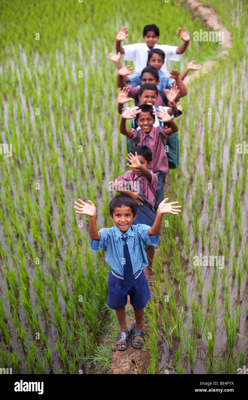 Indische Schulkinder zu Fuß auf einem Reisfeld, schwenkten ihre Hände. Andhra Pradesh, Indien. Flachen DOF Stockfoto