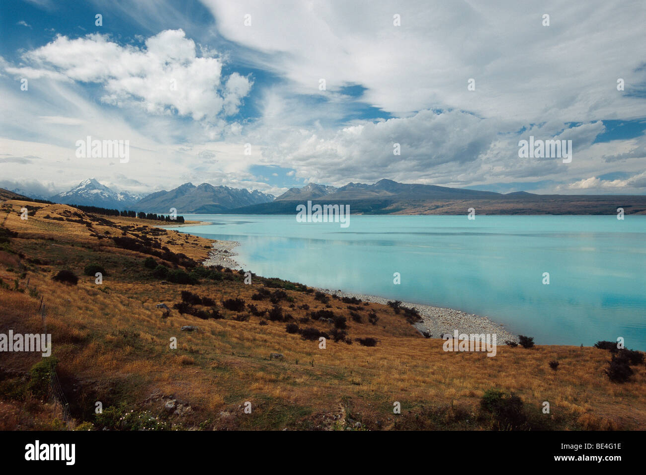 Neuseeland - Südinsel - Aorangi - Lake Pukaki - Mt. Cook im Hintergrund Stockfoto