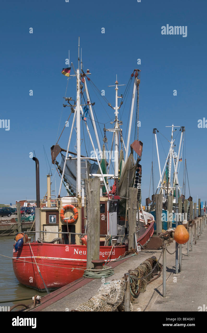 Shrimp-Kutter in den Hafen von Neuharlingersiel, Fräser mit gezogen bis Fanggeräte, Nationalpark Wattenmeer, Ostfriesland, niedrig Stockfoto