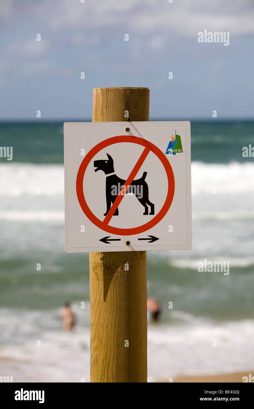 Keine Hunde erlaubt am Strand Zeichen in Lacanau-Ocean entlang der Atlantikküste Süd Westen Frankreichs in der Region Bordeaux Stockfoto