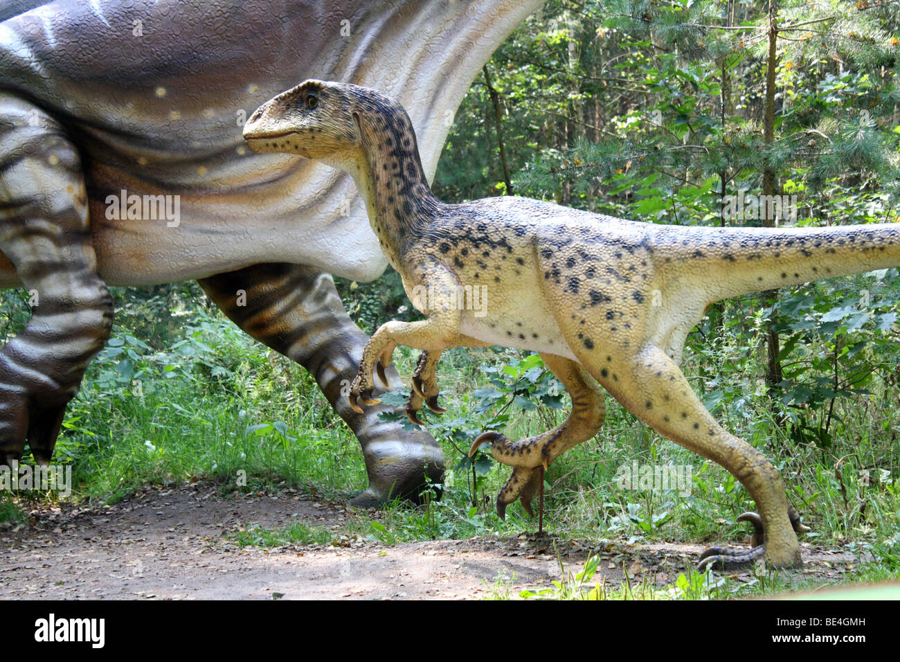 Prehistoric Park, Deinonychus, wirkliche Größe Replik, 2009 Stockfoto