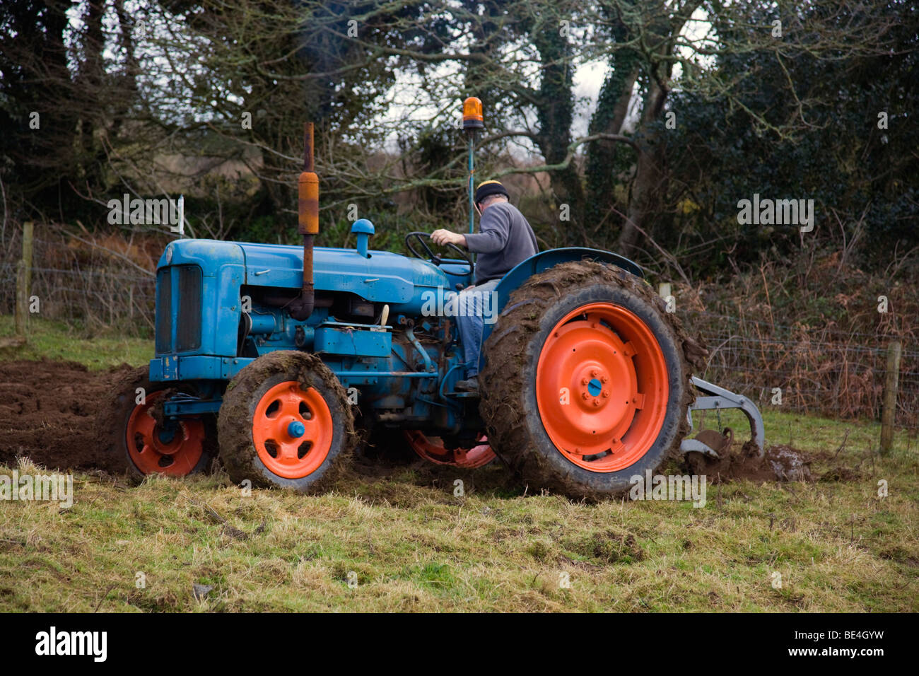 Traktor Fordson großen; Pflügen; Cornwall Stockfoto