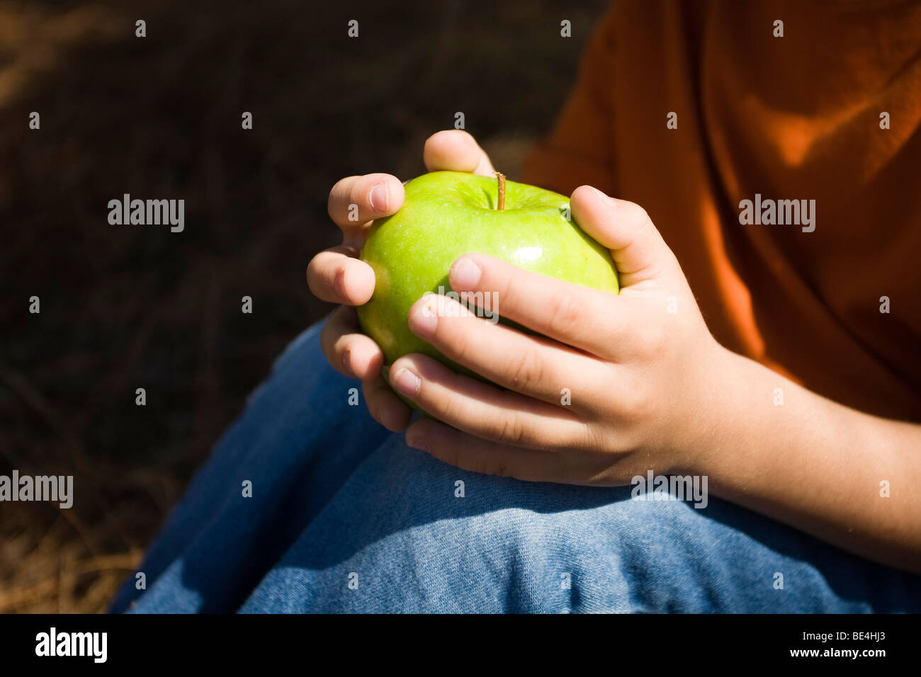 Green Apple Stockfoto