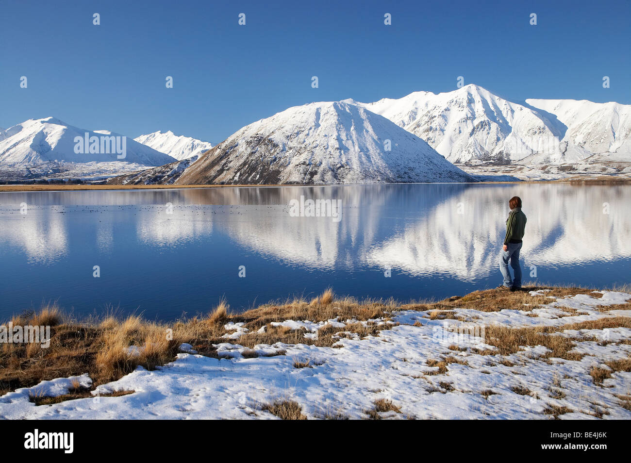 Palmer-Range, Mt Sugarloaf und Mt Catherine reflektiert in Lake Heron, Canterbury, Südinsel, Neuseeland Stockfoto